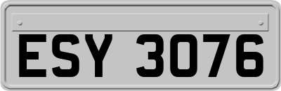 ESY3076