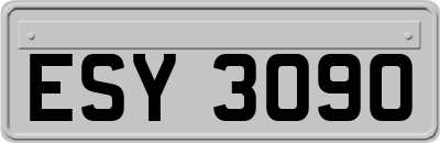 ESY3090