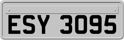 ESY3095