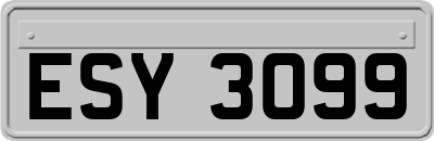 ESY3099