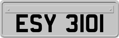 ESY3101