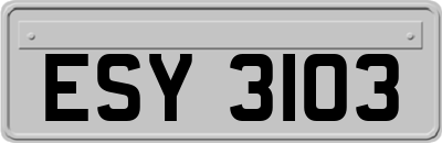 ESY3103