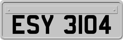 ESY3104