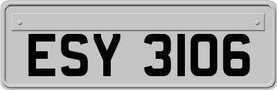ESY3106