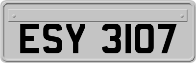 ESY3107