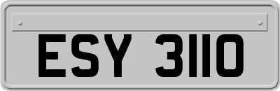 ESY3110