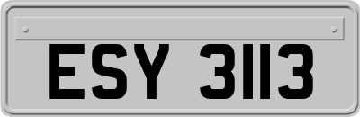 ESY3113