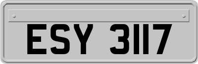 ESY3117