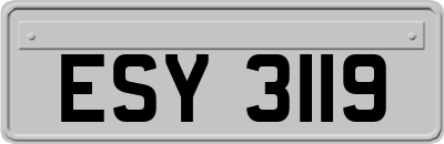 ESY3119