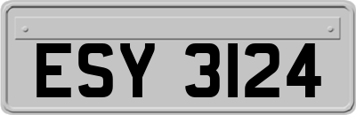 ESY3124