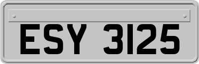 ESY3125
