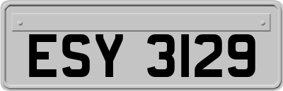 ESY3129
