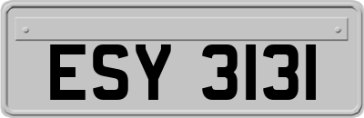 ESY3131
