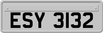 ESY3132