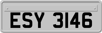 ESY3146