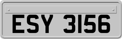 ESY3156
