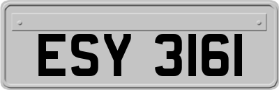 ESY3161