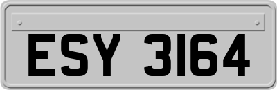 ESY3164