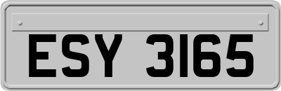 ESY3165