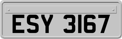 ESY3167