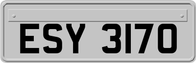 ESY3170