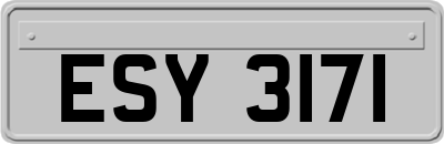 ESY3171