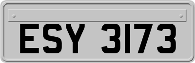 ESY3173