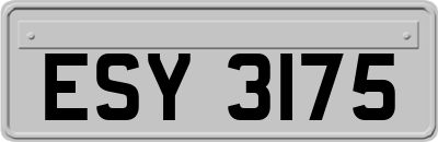 ESY3175