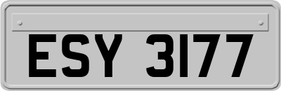 ESY3177
