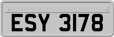 ESY3178