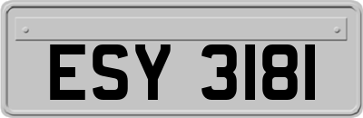 ESY3181
