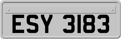 ESY3183