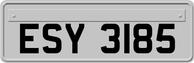 ESY3185