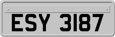 ESY3187