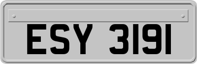 ESY3191