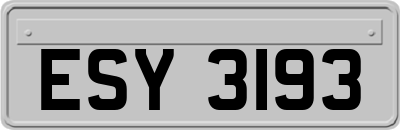 ESY3193