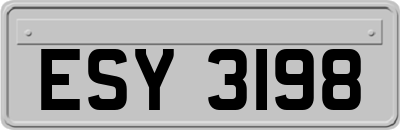 ESY3198