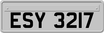 ESY3217