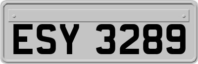 ESY3289