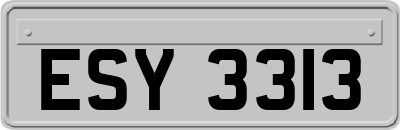 ESY3313