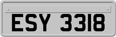 ESY3318