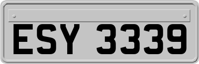 ESY3339