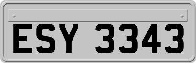 ESY3343