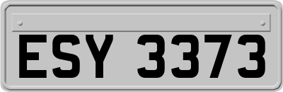 ESY3373