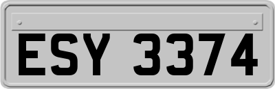 ESY3374