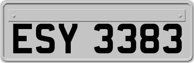 ESY3383