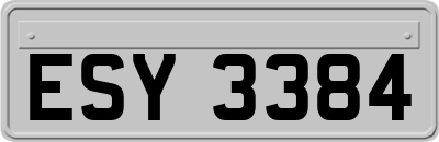 ESY3384