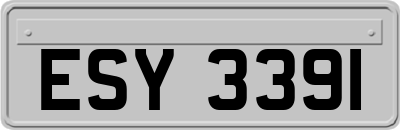 ESY3391
