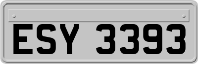 ESY3393