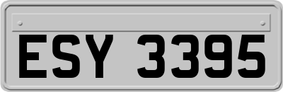 ESY3395